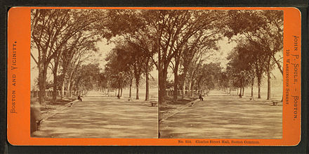 View of Boston, c. 1860; an early stereoscopic card for viewing a scene from nature  Stereoscopic image of 787 Orange Street, Addison R. Tinsley house, circa 1890s.  Stereoscopic image of 772 College Street (formerly Johnson Street) in Macon, Ga, circa 1870s.