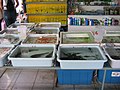 Fish for sale, Chatuchak Market