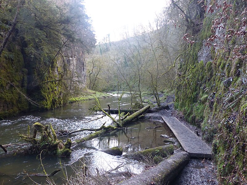 File:Chee Dale - geograph.org.uk - 5609755.jpg