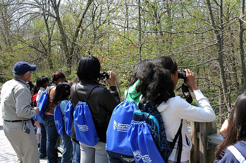 File:Children spot birds on a bird watching tour through.jpg