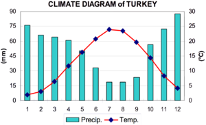 Thổ Nhĩ Kỳ: Tên gọi, Lịch sử, Chính trị