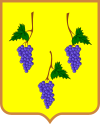 Wappen von Isjum