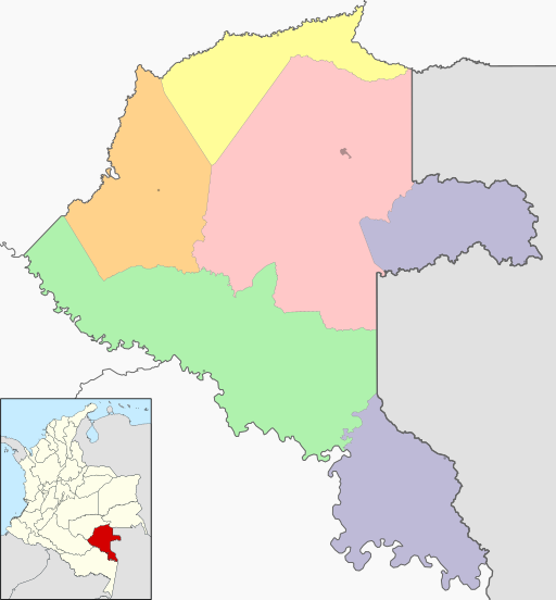 Colombia Vaupés location map (adm colored)