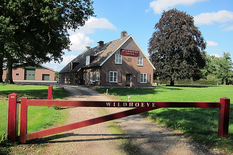 File:Colourful farmhouse at Koningsweg Schaarsbergen called Wildhoeve 1959 - panoramio.jpg