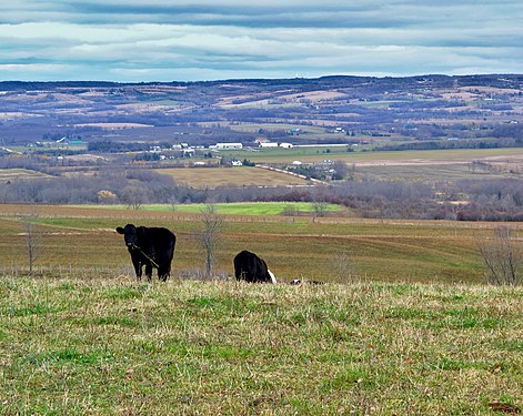 Grey County, Ontario