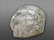ヨルダンのジェリコで出土した、石膏で覆われた頭蓋骨。紀元前7000年～紀元前6000年ころのもの。祖先崇拝のために祖先の頭蓋骨を石膏で覆った、と考古学者らは考えている。