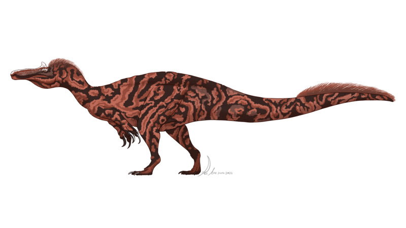 File:Cristatusaurus lapparenti by PaleoGeek.png