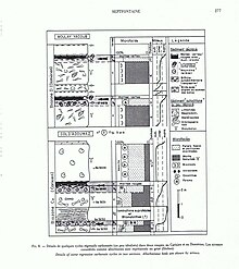 "shallowing upward" sequences from two sections distant of 230 km; note the hurricane (tempestites and tsunami ?)levels with abundant displaced foraminifera on supratidal flat. Middle Liassic, Morocco. Cycles regressifs de comblement.jpg