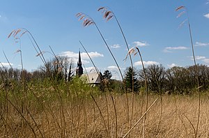 Dülmen, Kirchspiel, Naturschutzgebiet -Karthäuser Mühlenbach- -- 2015 -- 4484.jpg