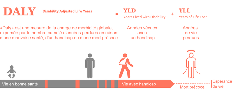 File:DALY disability affected life year infographicFR.png