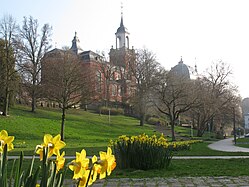 Frühling im Kurpark