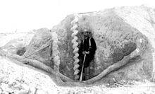 Daemonelix burrows, discovered in the late 19th century at Agate Fossil Beds National Monument. Standing next to it is the neuroanatomist Frederick C. Kenyon. Daemonelix burrows, Agate Fossil Beds.jpg