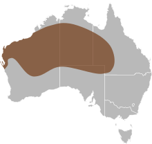 Delma nasuta distribusi.svg