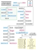 神産みのサムネイル