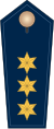 German Federal Police - Higher Service 04.svg