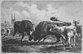 Die Gartenlaube (1879) b 357.jpg Stierkampf auf dem ersten Weide-Austrieb. Ein Frühlingsbild von H. Leutemann (S)