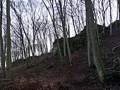 Natural monument "Die Leien" (limestone rock chain) near Gönnersdorf