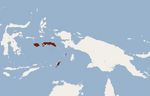 Miniatura per Ratpenat d'esquena nua de les Moluques