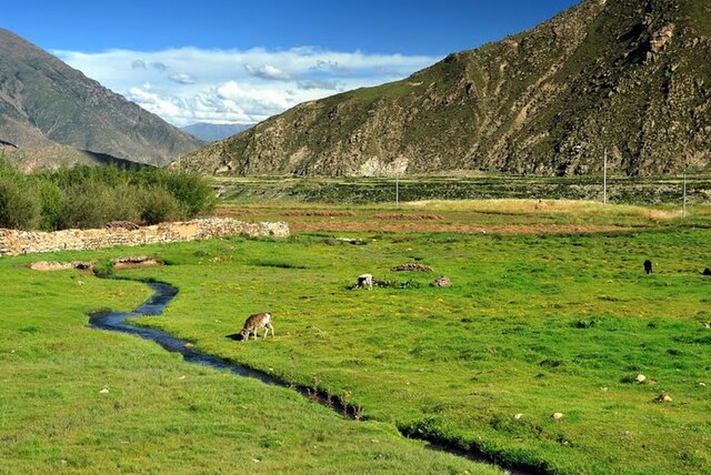 Pasturage in Doilungdêqên District