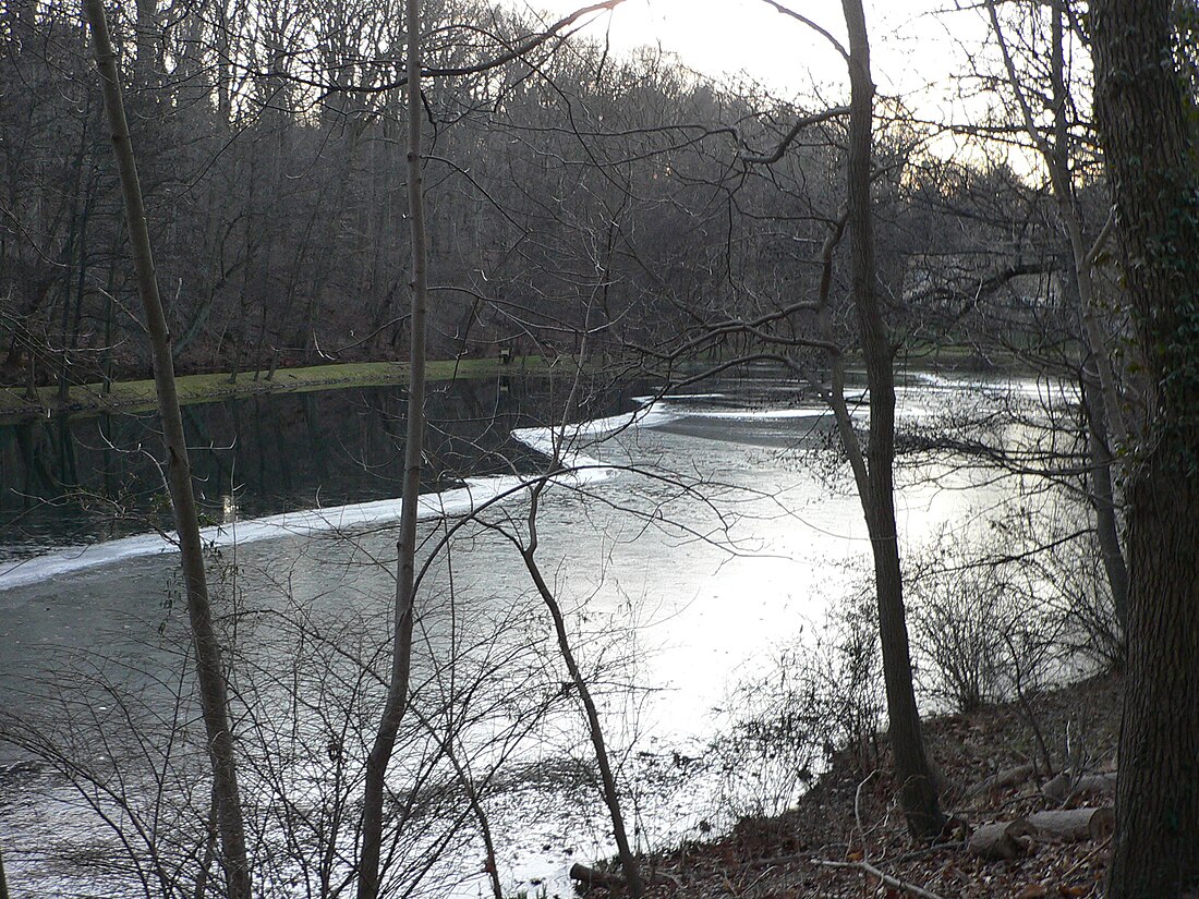 Dove Lake (Montgomery County, Pennsylvania)