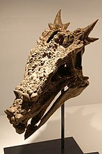 Vorschaubild für Dracorex