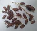 Dried dates - 1.jpg