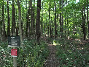 Hiking trail in the protected area