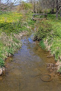 Dry Run (West Branch Susquehanna River tributary)