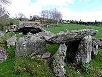 Wedge Tomb von Dunnamore