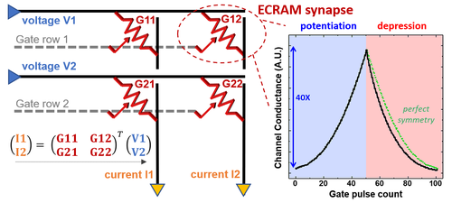 (Left) Illustration of analog matrix-vector multiply operation in a pseudo-crossbar ecram array. (Right) Illustration of the programming of 50 distinct and reversible states in the ecram synaptic cell. ECRAM synapse in-memory compute.png