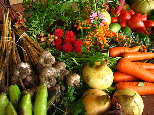 Научное овощеводство. Овощные растения. Овощи и фрукты с огорода. Органическое сельское хозяйство. Фермерские овощи.