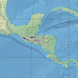 Central American Montane Forests