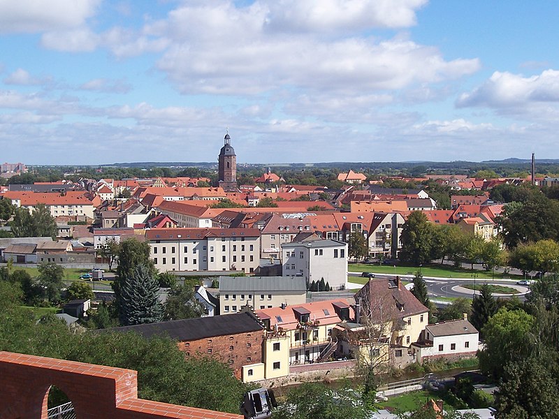 File:Eilenburg vom Burgberg.JPG