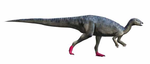 Elrhazosaurus NT.png