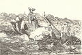 "Parisiens prenant les eaux d'Enghien" par Gustave Doré