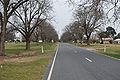 English: The tree-lined main street of en:Cudgewa, Victoria