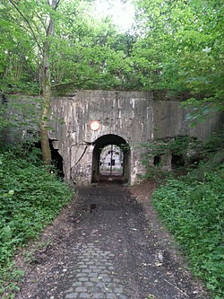 Entrée principale du Fort de Dave.jpg