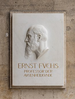 Ernst Fuchs (1851-1930), Nr. 128, physician, basrelief (marble) in the Arkadenhof of the University of Vienna-3830-HDR.jpg