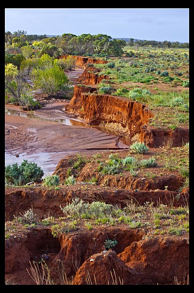 File:Erosion in the Broken Hill Plains-1 (5140798685).jpg