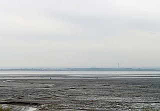 <span class="mw-page-title-main">Benfleet and Southend Marshes</span>