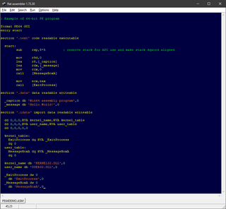 Fasm assembly language programming