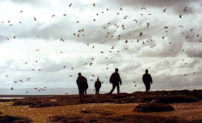 File:Falklands 1982.jpg