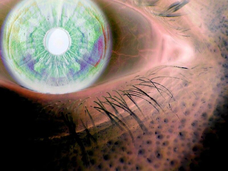 File:FalseColorHumanEye.jpg