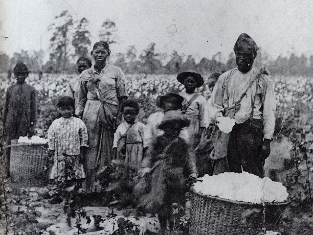 Slaves with the cotton they had picked, Georgia circa 1850