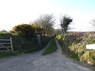 <span class="mw-page-title-main">Viscar</span> Human settlement in England