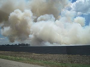 Field on fire Crawfordsville Crittenden County AR 2013-06-29 012.jpg