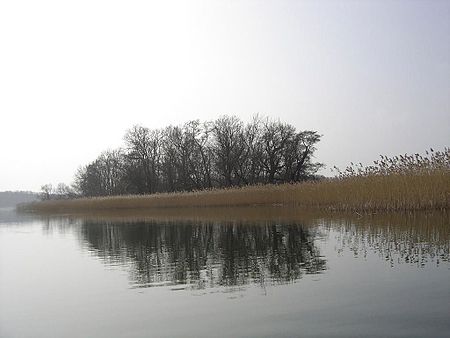 FischerinselTollensesee