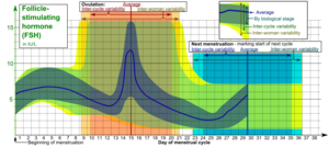 Follicle-stimulating hormone (FSH) during menstrual cycle.png