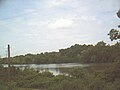 Fort Loudoun Lake