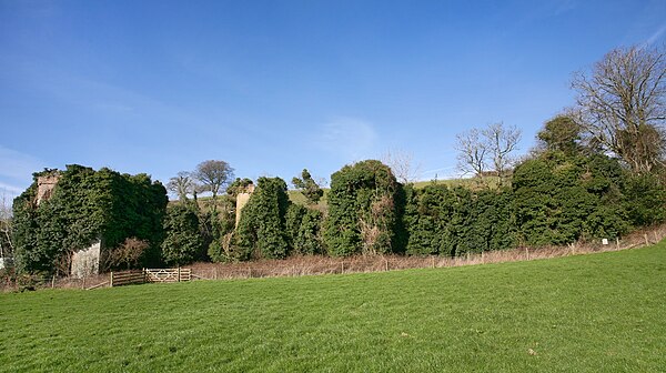 The ruins of Fowelscombe House, a possible model for Baskerville Hall (2008).